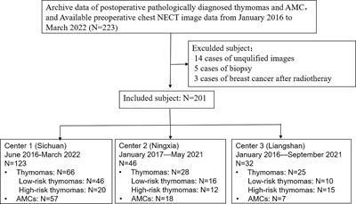 Machine-learning classifiers based on non-enhanced computed tomography radiomics to differentiate anterior mediastinal cysts from thymomas and low-risk from high-risk thymomas: A multi-center study